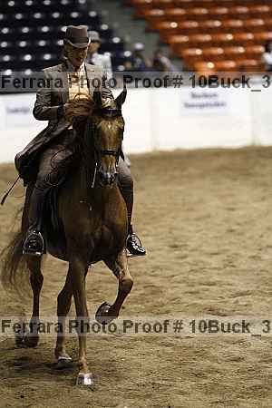 Proof Number 10buck_3097