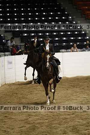 Proof Number 10buck_3104