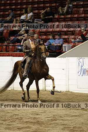 Proof Number 10buck_3109