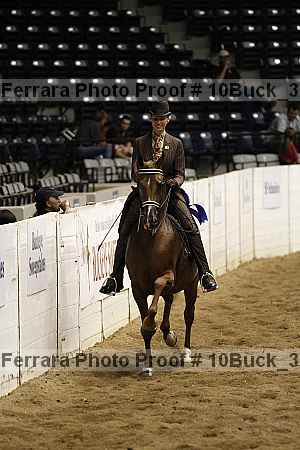 Proof Number 10buck_3118