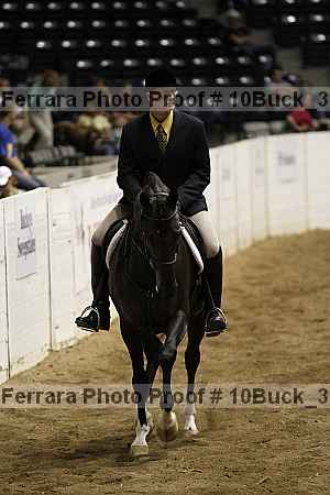 Proof Number 10buck_3140