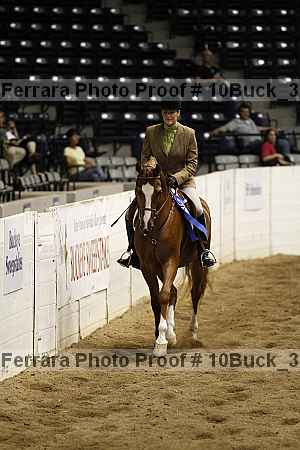 Proof Number 10buck_3149