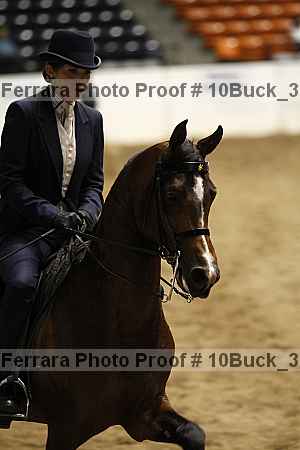 Proof Number 10buck_3195