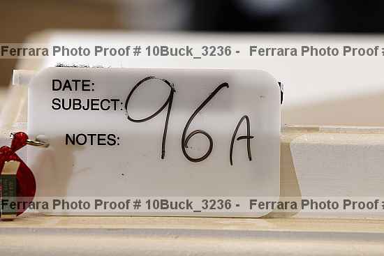 Proof Number 10buck_3236
