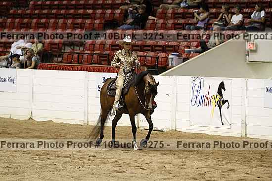 Proof Number 10buck_3275