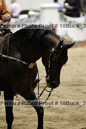Proof Number 10buck_3283