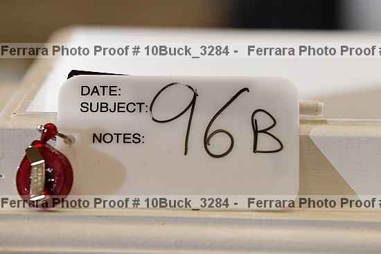 Proof Number 10buck_3284
