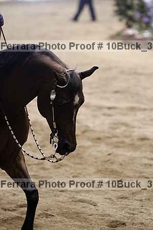 Proof Number 10buck_3300