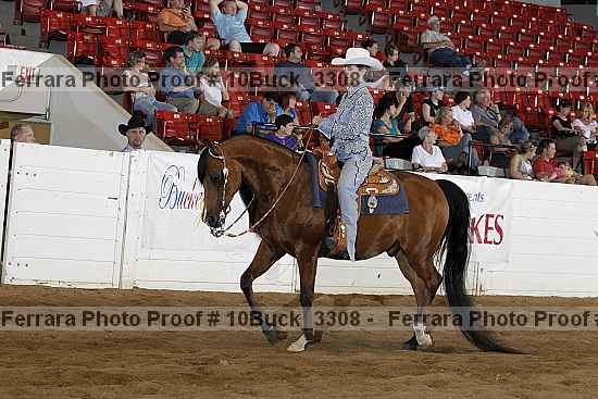 Proof Number 10buck_3308
