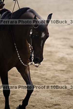 Proof Number 10buck_3319