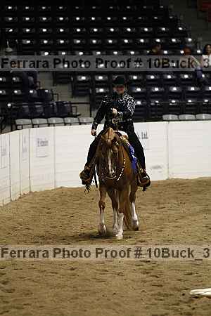 Proof Number 10buck_3324