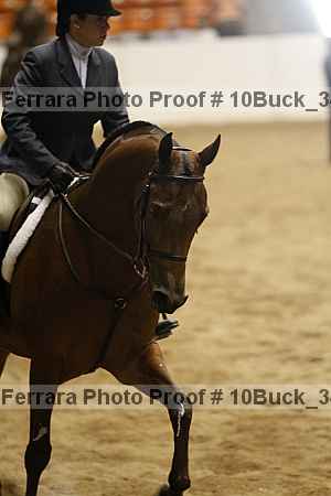 Proof Number 10buck_3483