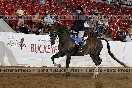 Proof Number 10buck_3491