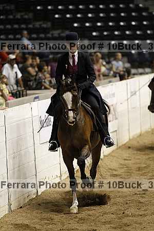 Proof Number 10buck_3507