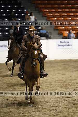 Proof Number 10buck_3522