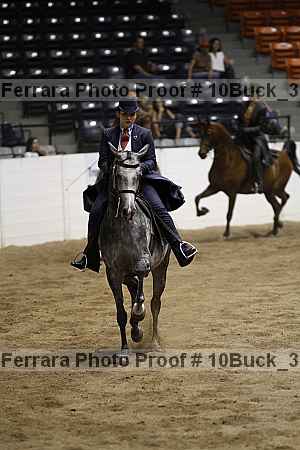Proof Number 10buck_3530