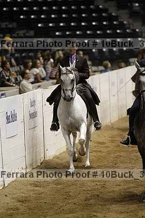 Proof Number 10buck_3531