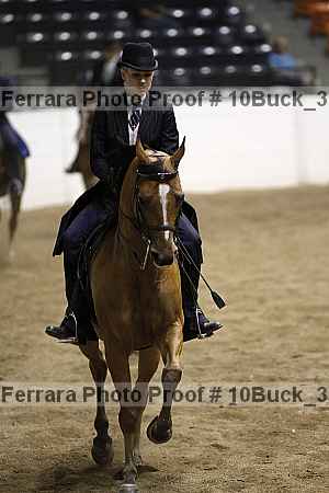 Proof Number 10buck_3587