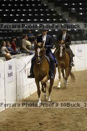 Proof Number 10buck_3588