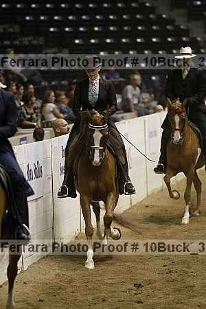 Proof Number 10buck_3590