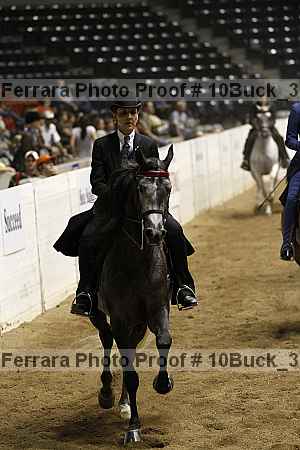 Proof Number 10buck_3593