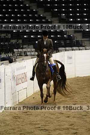 Proof Number 10buck_3666