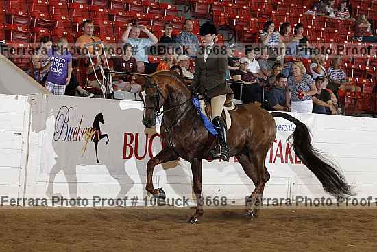 Proof Number 10buck_3668