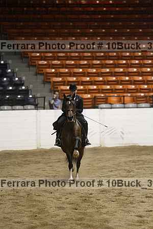 Proof Number 10buck_3693