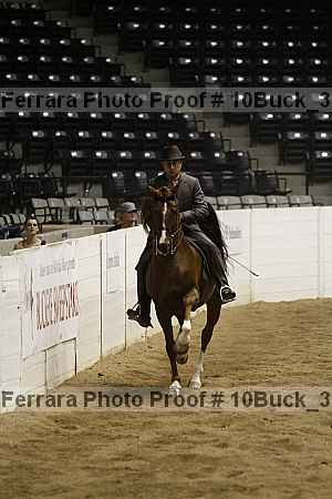 Proof Number 10buck_3694