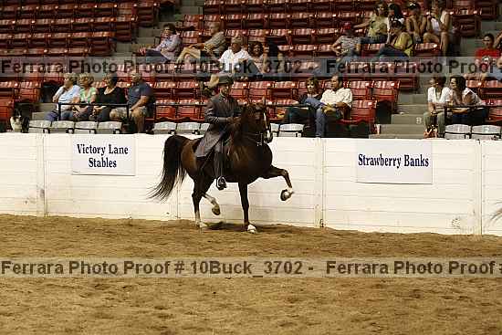 Proof Number 10buck_3702