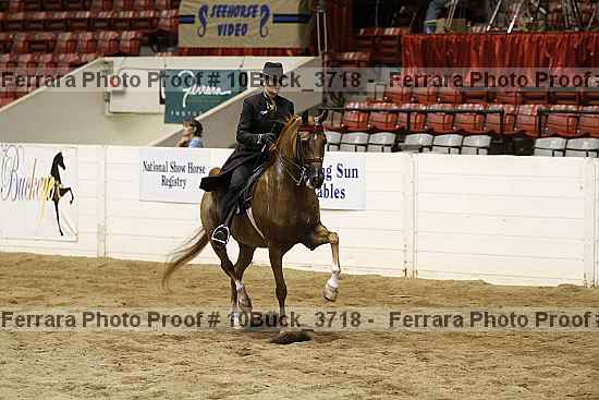 Proof Number 10buck_3718