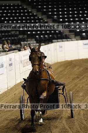 Proof Number 10buck_3750