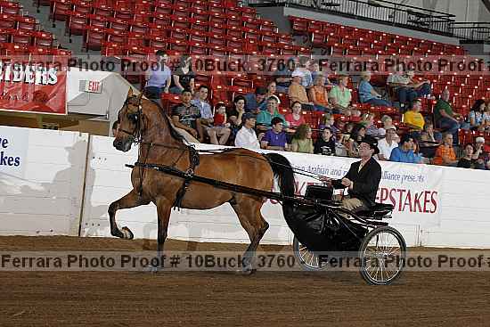 Proof Number 10buck_3760