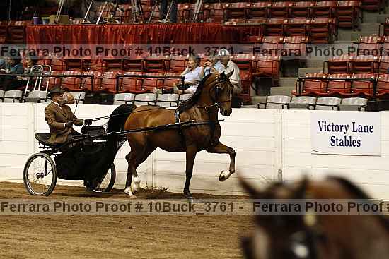 Proof Number 10buck_3761