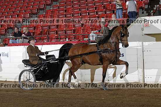 Proof Number 10buck_3769