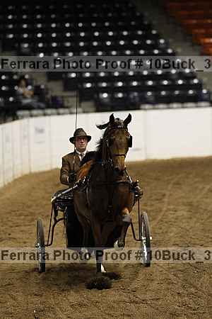 Proof Number 10buck_3779