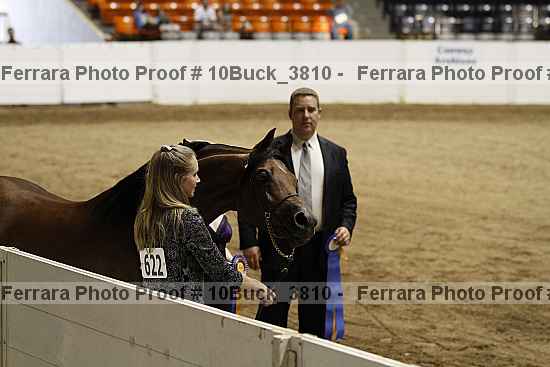 Proof Number 10buck_3810
