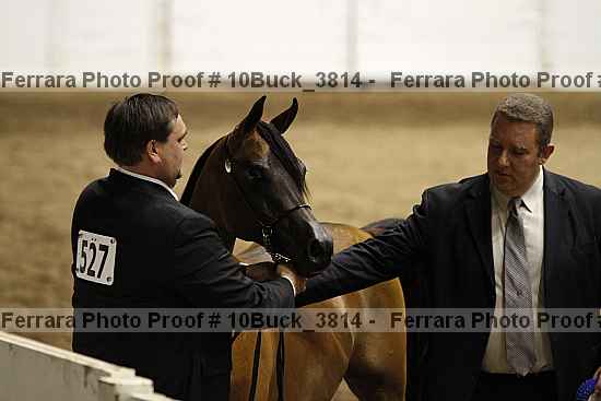 Proof Number 10buck_3814