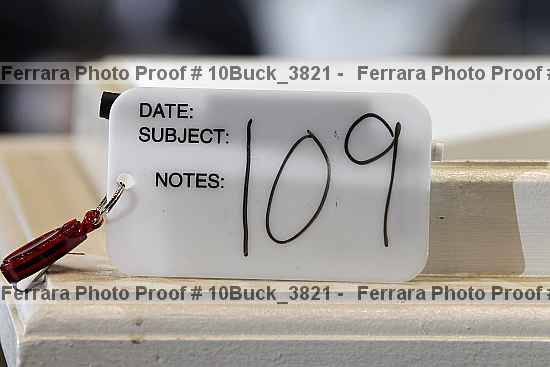 Proof Number 10buck_3821