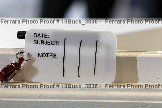 Proof Number 10buck_3836