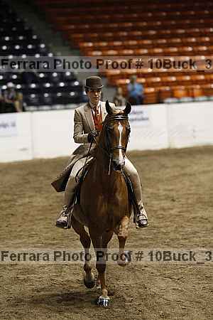 Proof Number 10buck_3861