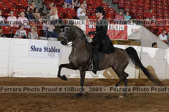 Proof Number 10buck_3903
