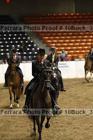 Proof Number 10buck_3909