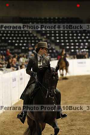 Proof Number 10buck_3910