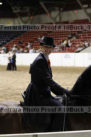 Proof Number 10buck_3913