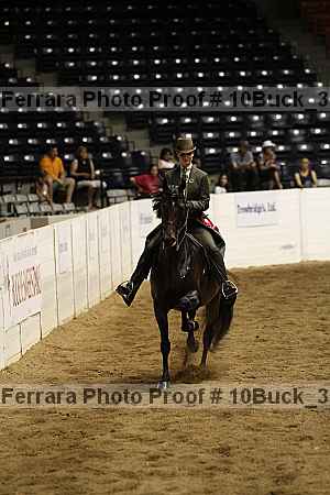 Proof Number 10buck_3915