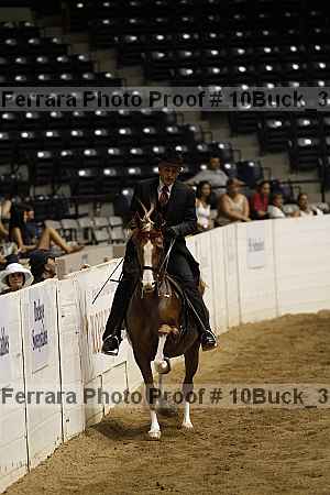 Proof Number 10buck_3938