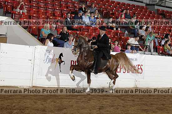 Proof Number 10buck_3939