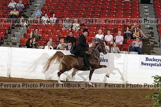 Proof Number 10buck_3941