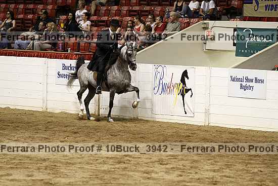 Proof Number 10buck_3942